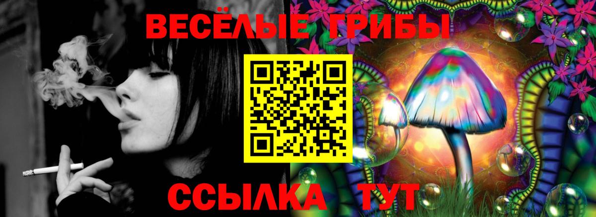 Ессентуки  Галлюциногенные грибы MAGIC MUSHROOMS  Вход с VPN  Галлюциногенные грибы ЛСД 